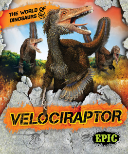 Rebecca Sabelko Velociraptor