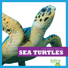 Cari Meister Sea Turtles