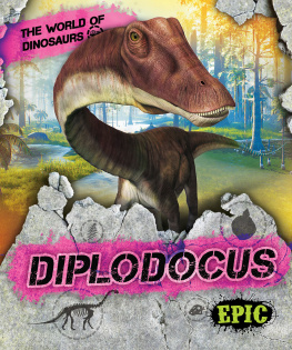 Rebecca Sabelko - Diplodocus