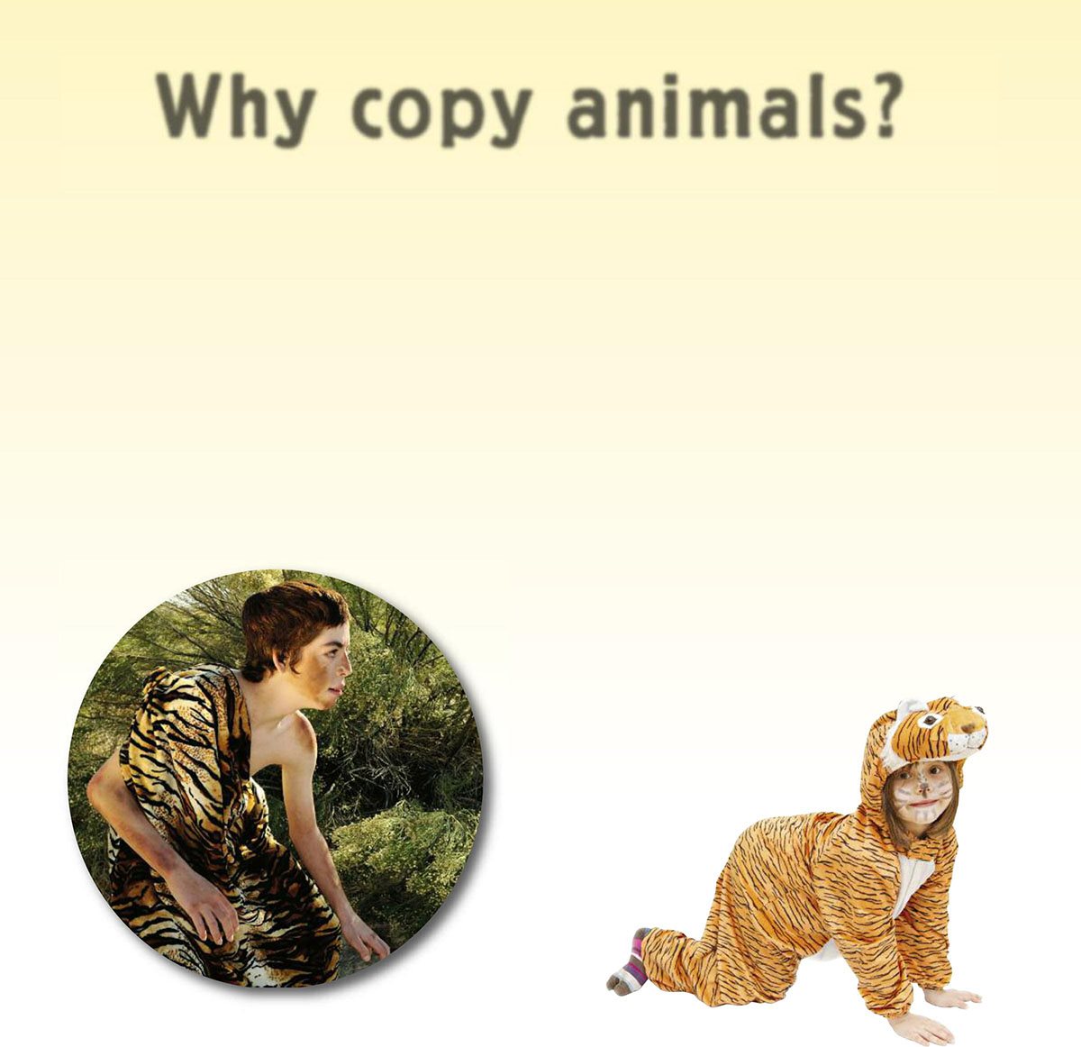 Why copy animals Animals are able to adapt or change to suit the habitats - photo 6