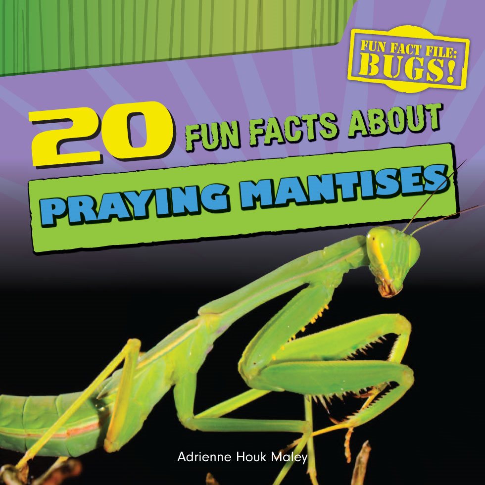 FUN FACTS ABOUT PRAYING MANTISES Adrienne Houk Maley FUN FACTS - photo 1