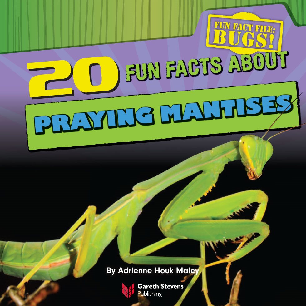 FUN FACTS ABOUT PRAYING MA NTISES By Author By Adrienne Houk Maley - photo 3