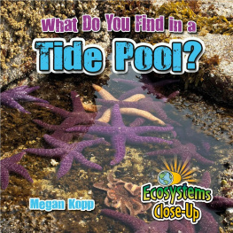 Megan Kopp - What Do You Find in a Tide Pool?