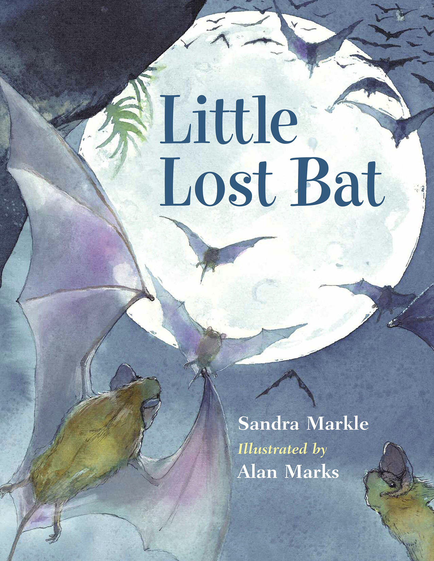 Sandra Markle Little Lost Bat Illustrated by Alan Marks Wit - photo 1