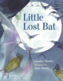 Sandra Markle - Little Lost Bat