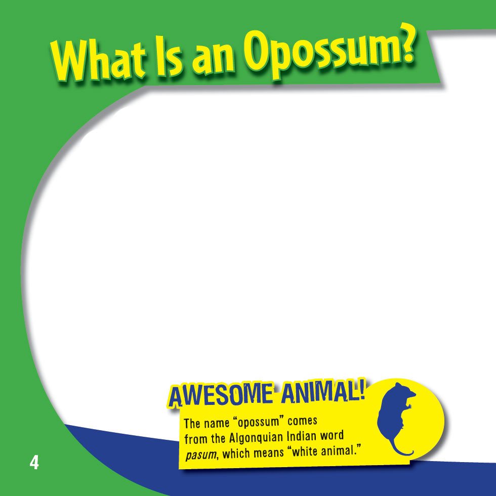 What Is an Opossum An opossum is a mammal It has a long thin body Each - photo 6