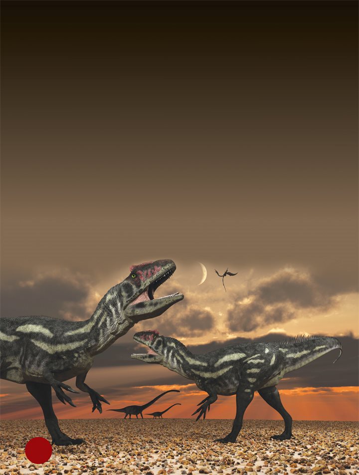 Allosaurushuntedliveprey Scientists dont know if these dinos hunted alone - photo 12