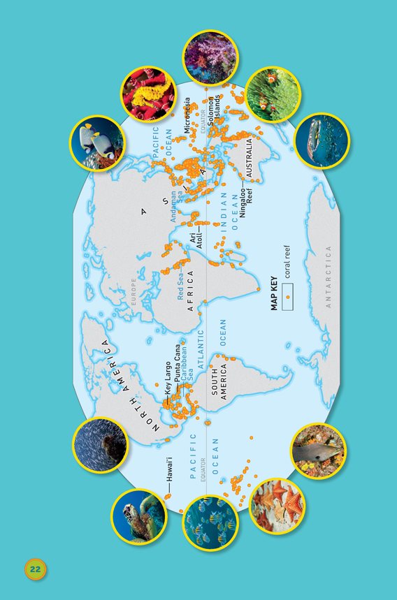 Coral Reef Map Coral reefs are found all over the world See where these - photo 24