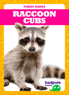 Genevieve Nilsen Raccoon Cubs