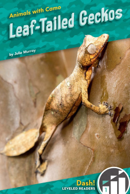 Julie Murray - Leaf-Tailed Geckos