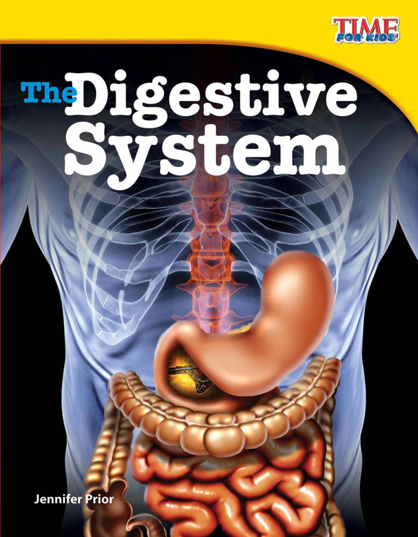 Jennifer Prior The Digestive System Prior System Digestive The - photo 1