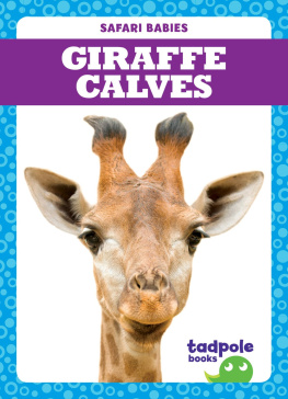 Genevieve Nilsen - Giraffe Calves