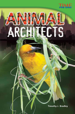 Timothy J. Bradley - Animal Architects