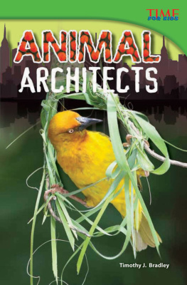 Timothy J. Bradley Animal Architects