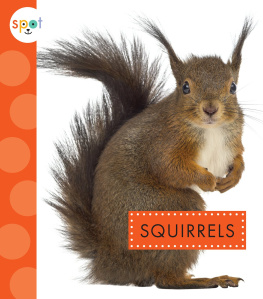 Wendy Strobel Dieker - Squirrels