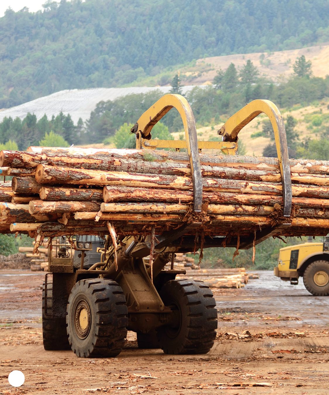 12 CHAPTER 2 Logging can trigger landslides Trees help hold soil in - photo 12