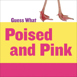Kelly Calhoun Poised and Pink: Flamingo