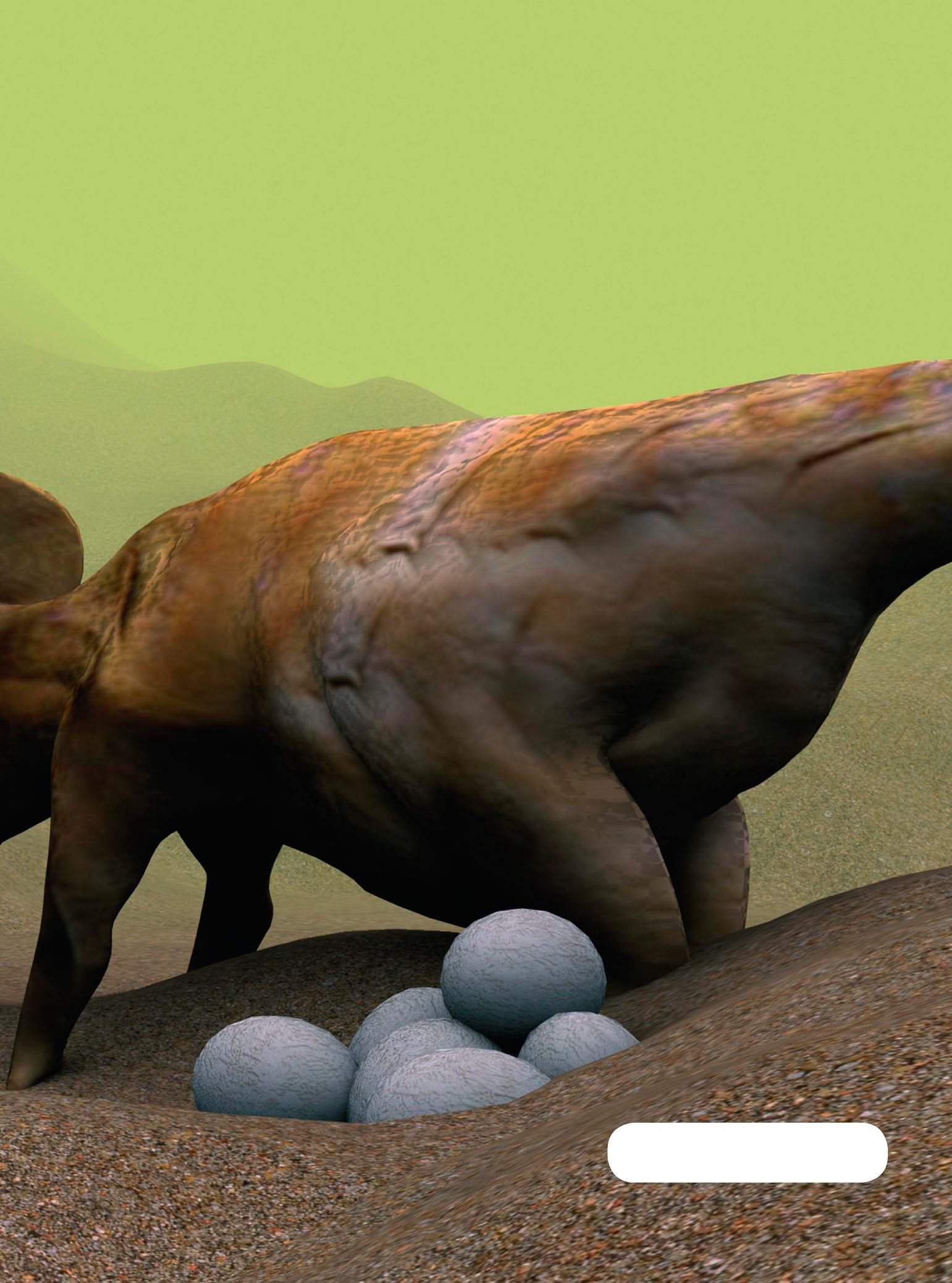 protoceratops Dinosaurs were reptiles There are many reptiles living - photo 17