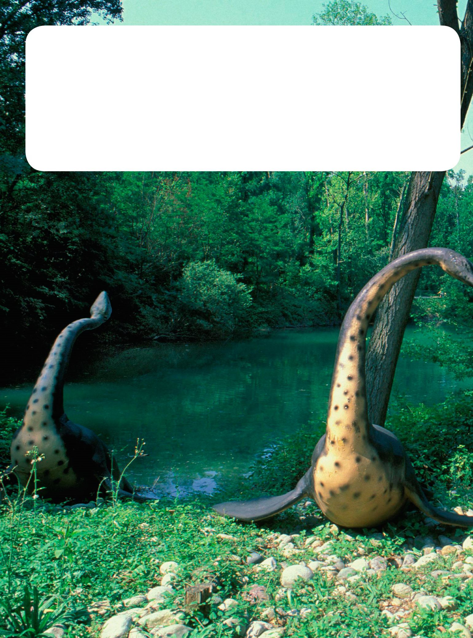 Some dinosaurs could swim in lakes or the sea They had long necks and four - photo 14