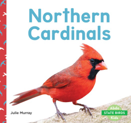 Julie Murray - Northern Cardinals