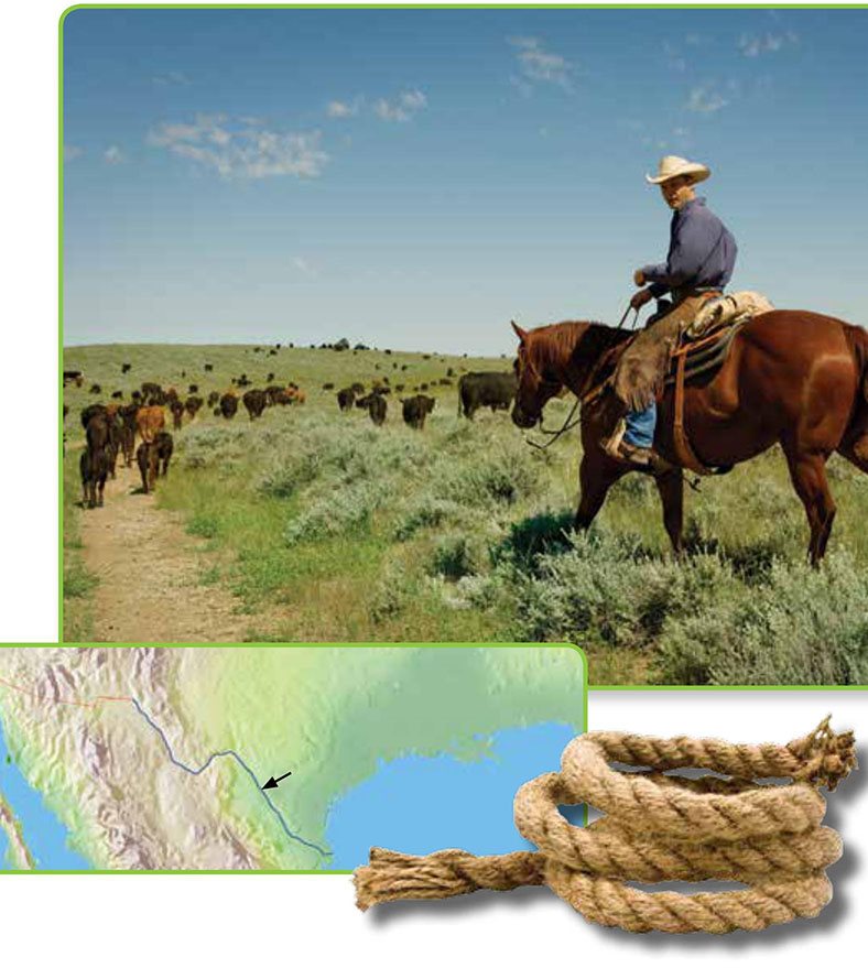 Here a rancher drives his cattle across the plains They are going to the - photo 9