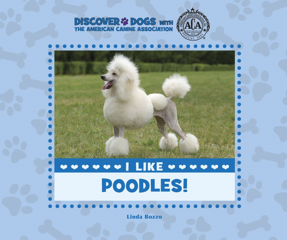 DISCOVER DOGS WITH THE AMERICAN CANINE ASSOCIATION I LIKE POODLES - photo 3