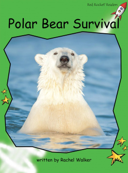 Rachel Walker - Polar Bear Survival