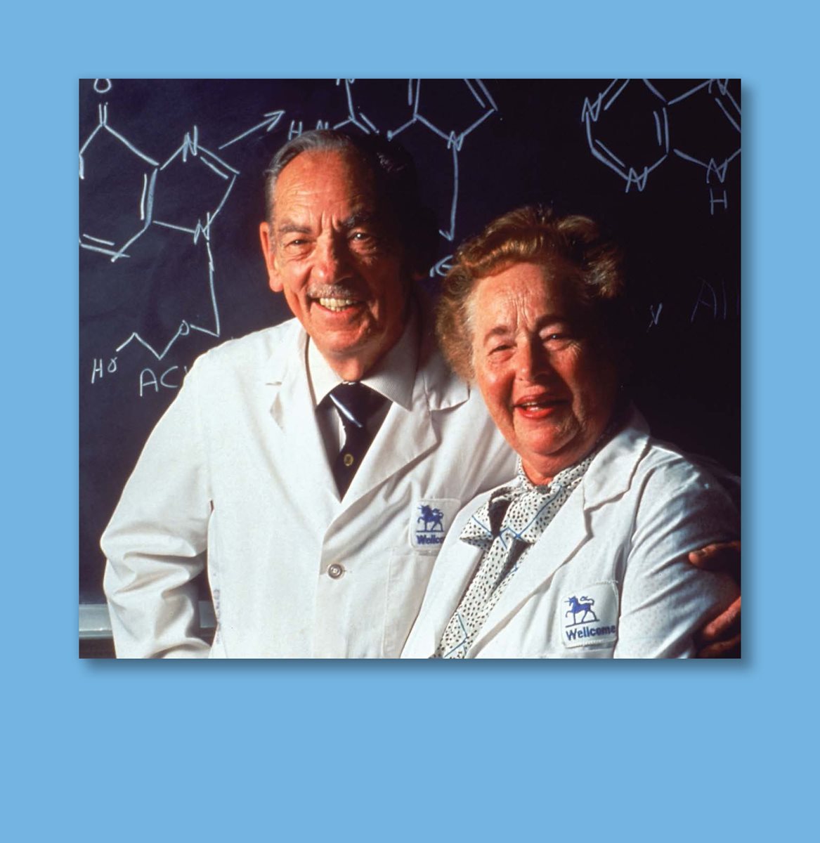 Elion and Hitchings worked together for much of their careers Elion made - photo 16