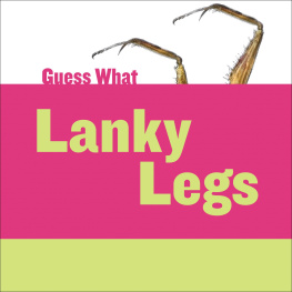 Felicia Macheske - Lanky Legs: Praying Mantis