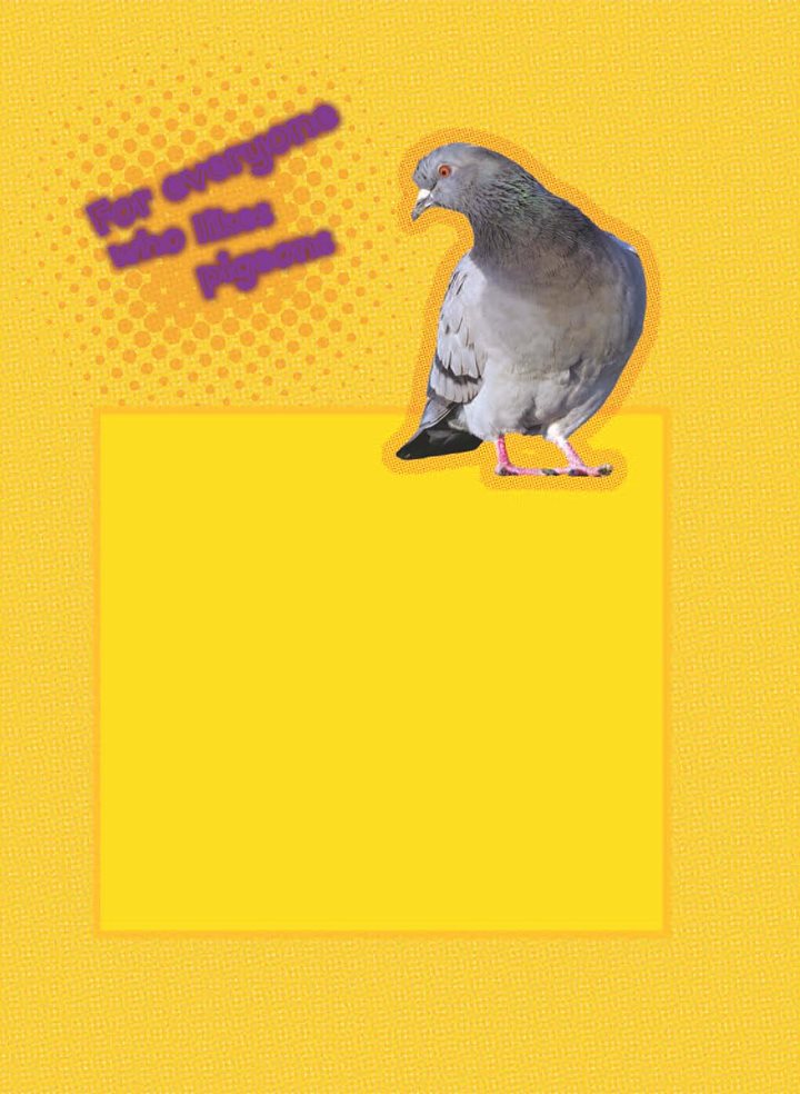 For everyone who likes pigeons There are many kinds of pigeons This book - photo 3