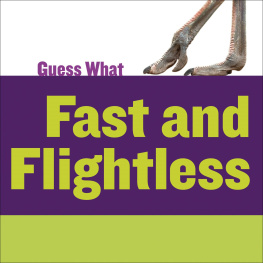 Kelly Calhoun - Fast and Flightless: Ostrich
