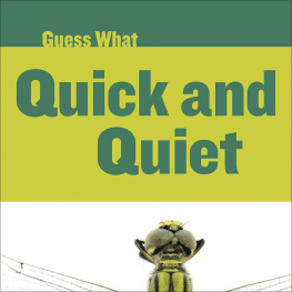 Felicia Macheske - Quick and Quiet: Dragonfly