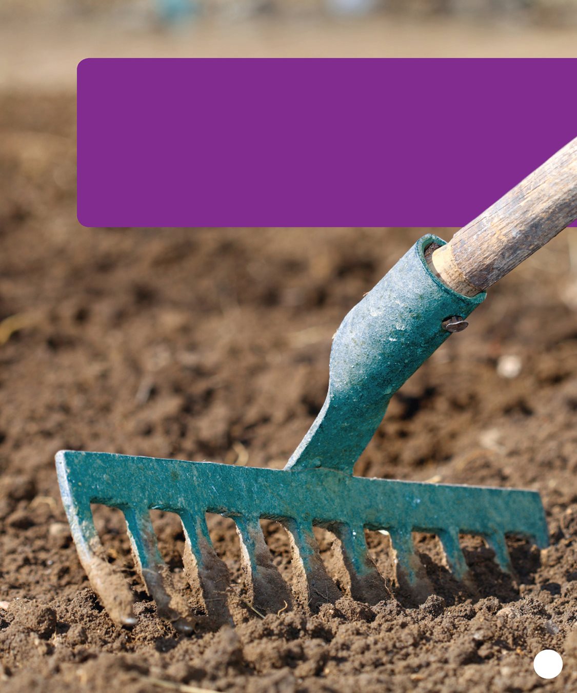 Use a small shovel to dig up the ground Turn the soil over with a garden - photo 15