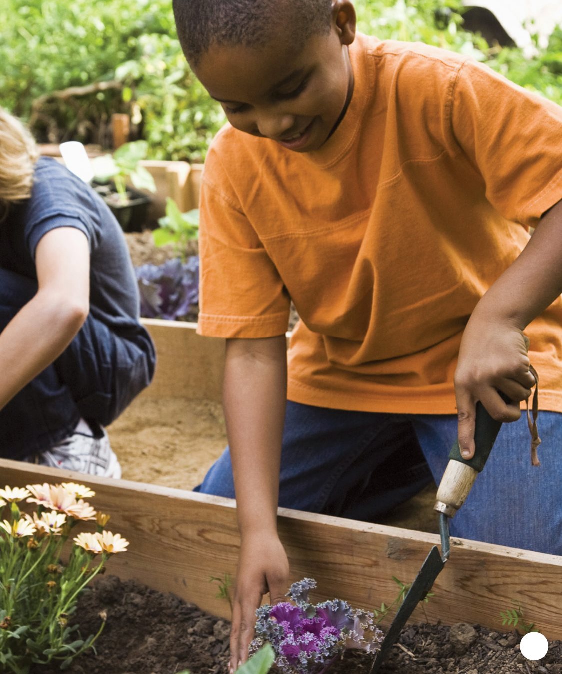 CHAPTER 3 Use mulch to fill in around your flowers It helps hold in - photo 17