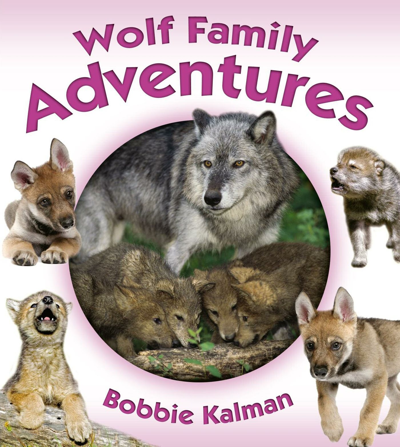 Crabtree Publishing Company wwwcrabtreebookscom Wolf Family Adventures - photo 1