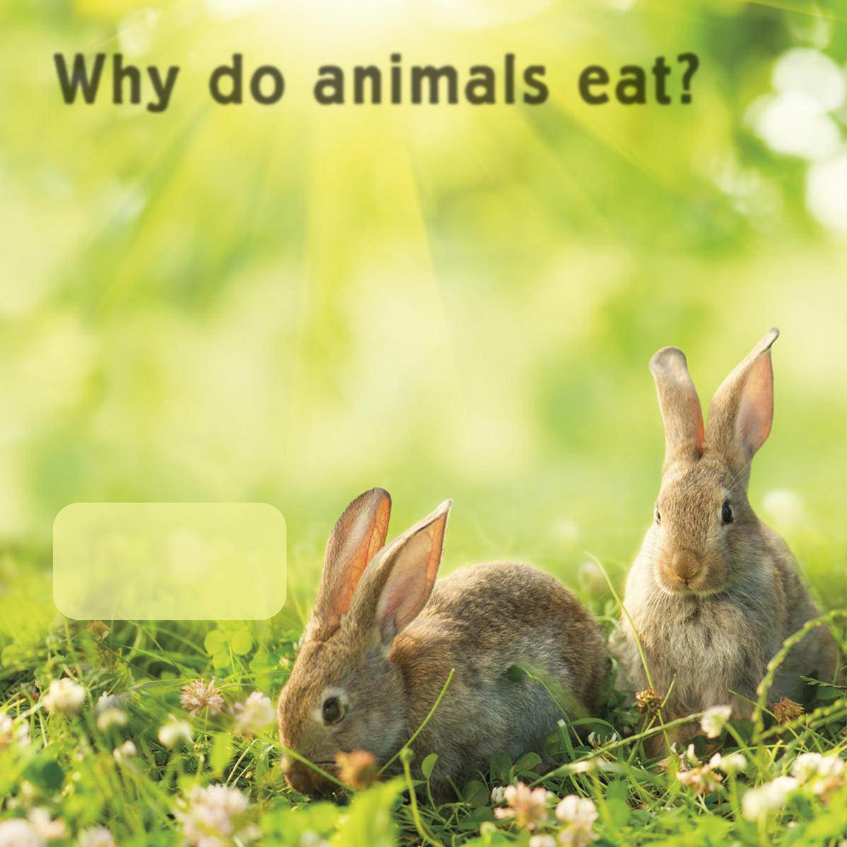 Why do animals eat Plants animals and people are living things Living - photo 6