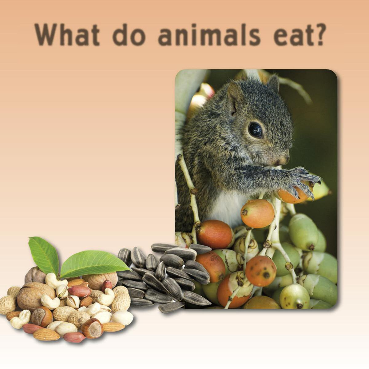 What do animals eat Animals eat different kinds of foods Some eat - photo 8