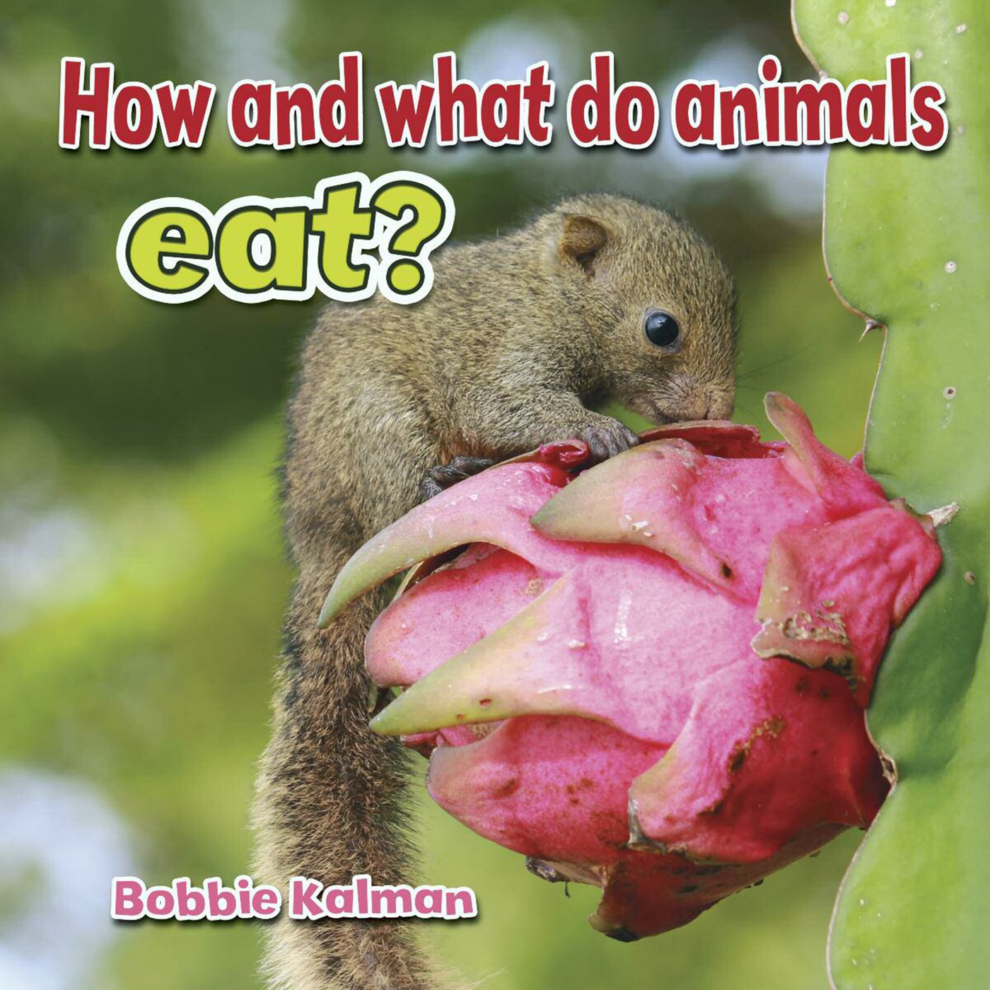 How and What Do Animals Eat - image 1