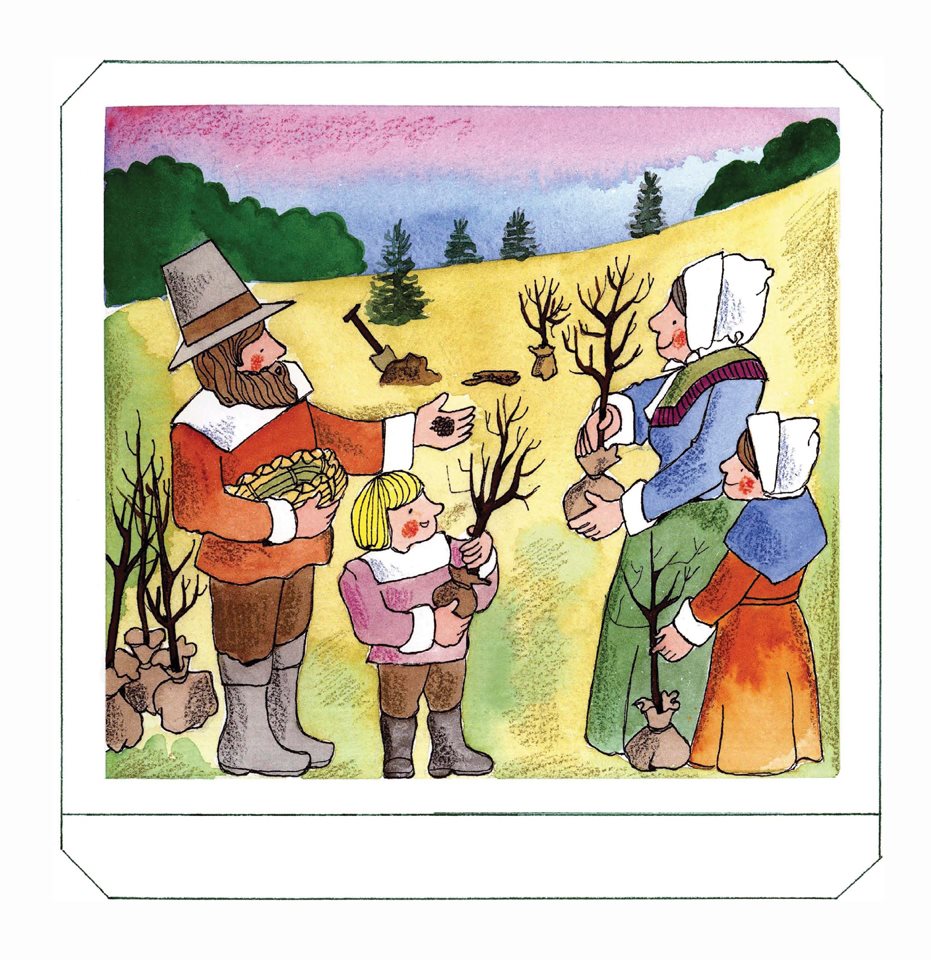 The first American colonists brought apple seeds and seedlings with them from - photo 6