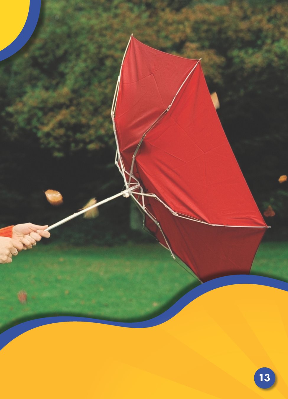 The wind whips tree branches back and forth It can turn your umbrella - photo 16