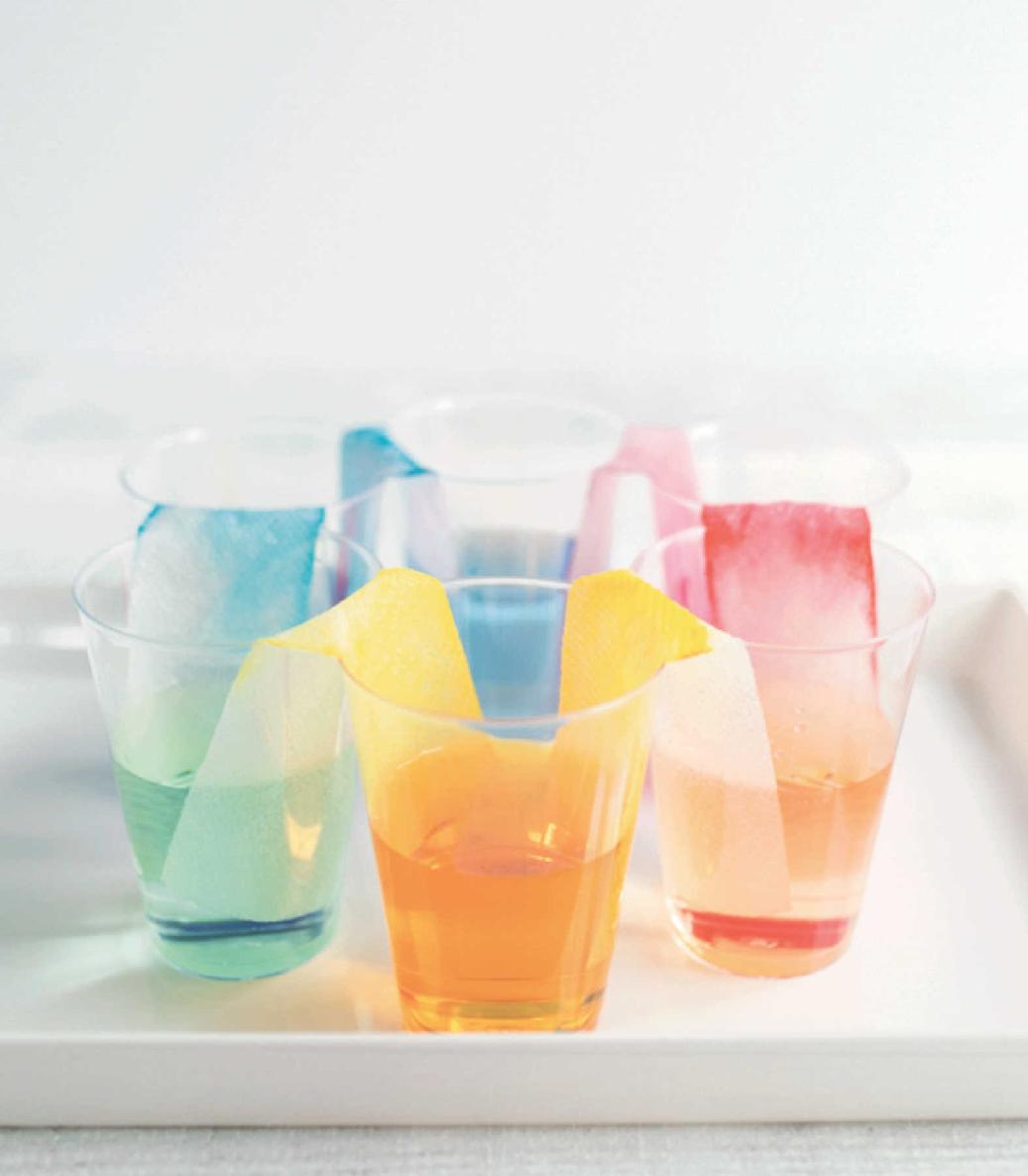 Bringing science into your home with fun easy experiments is a great way to - photo 10