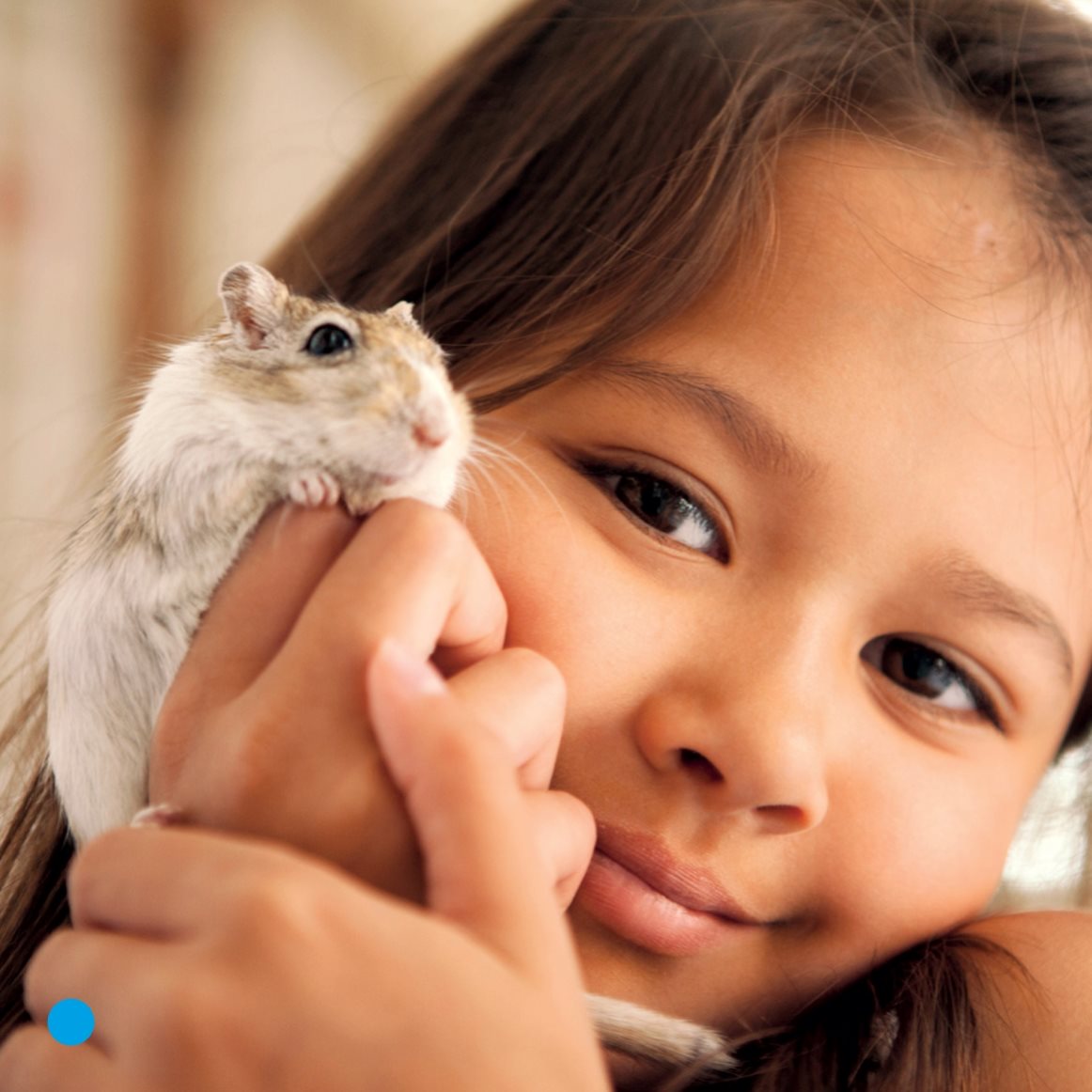 Gerbils are great pets What Does a Gerbil Need shavings Gerbils need a - photo 20