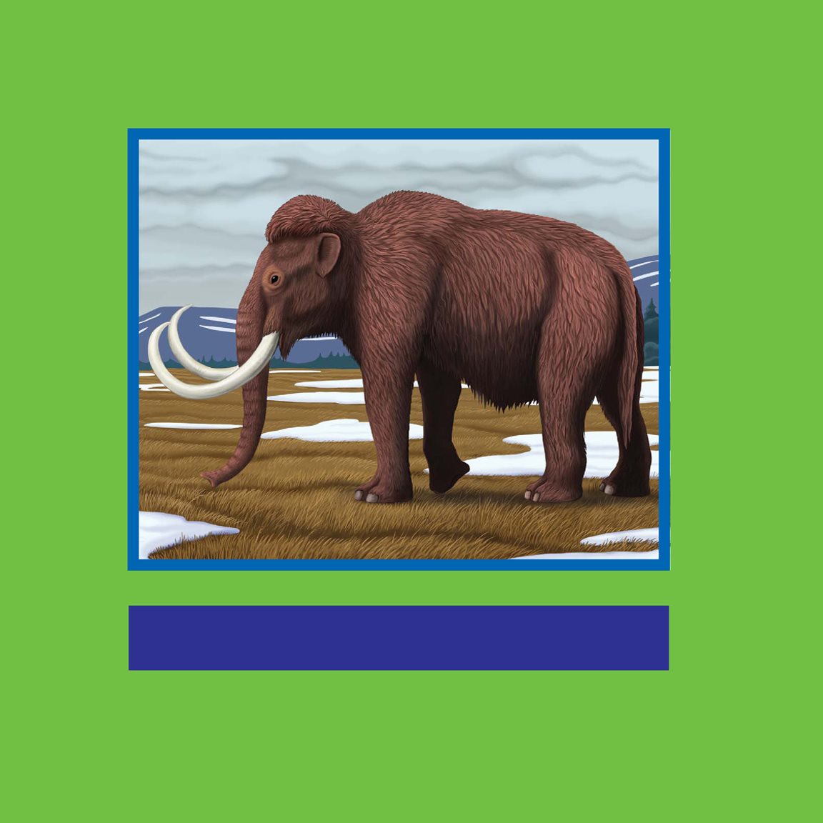 Mammoths lived in open areas without many trees How Did Mammoths and - photo 16