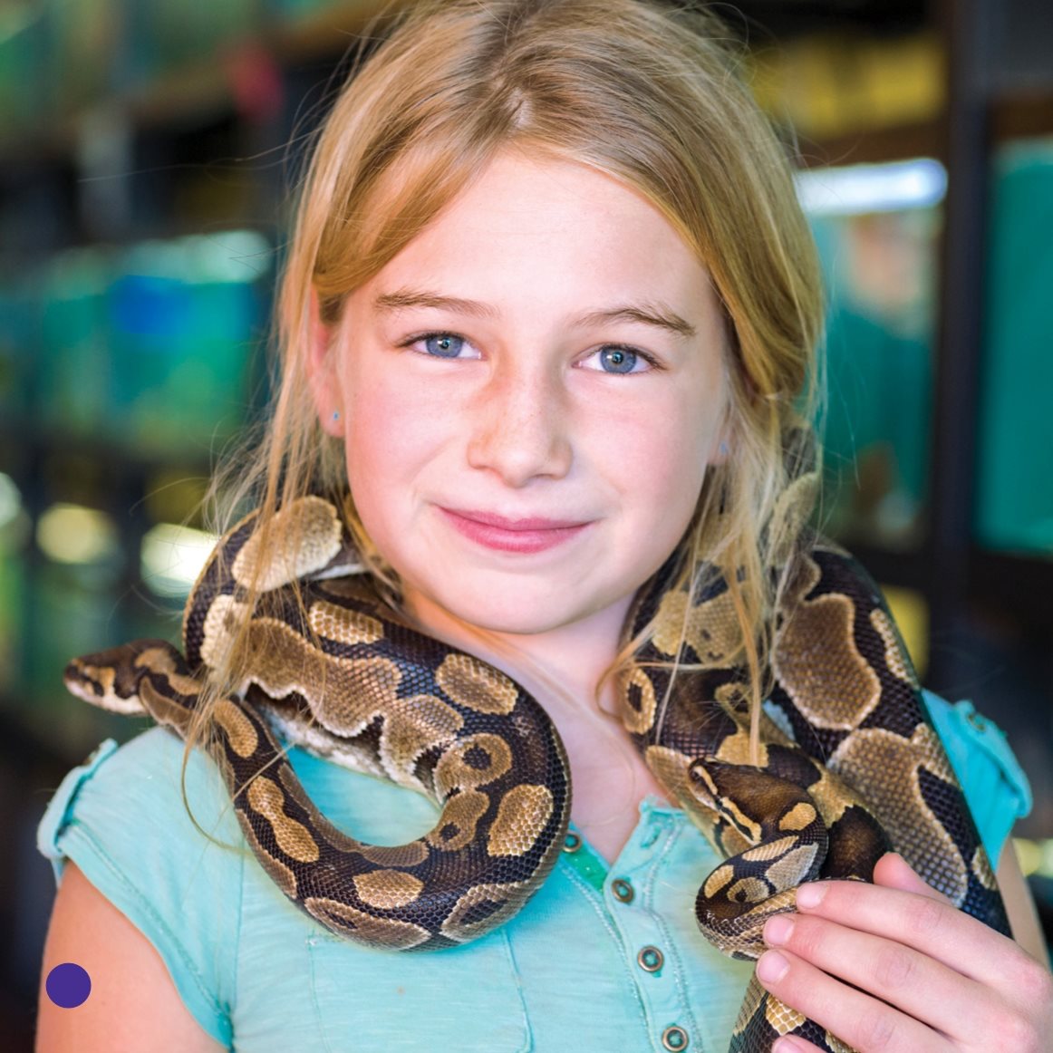 Snakes are cool pets What Does a Snake Need shredded paper Shredded - photo 20