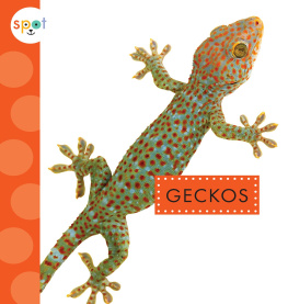 Rachel Bach Geckos