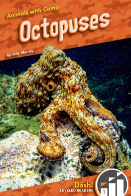 Julie Murray - Octopuses