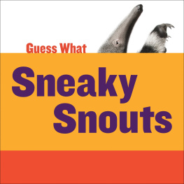 Kelly Calhoun - Sneaky Snouts: Giant Anteater