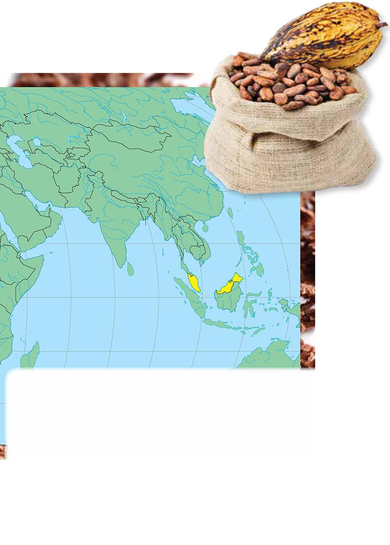 Most of the worlds cocoa beans come from countries in South America - photo 13