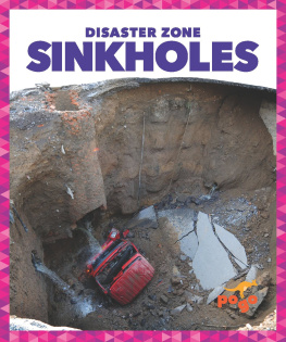 Vanessa Black - Sinkholes