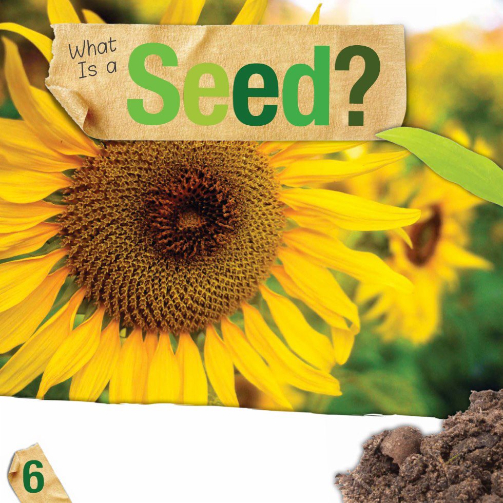 What Is a Seed A seed is made by a fully grown plant A plant typically - photo 8